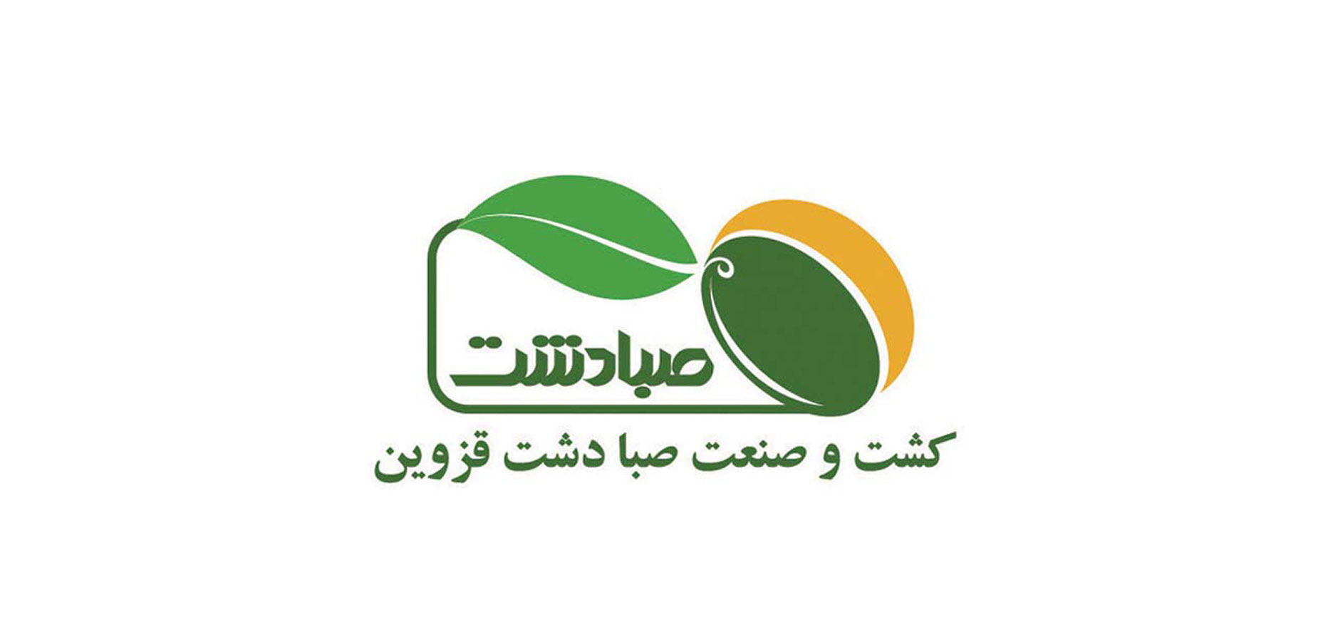 طراحی لوگو صبا دشت قزوین